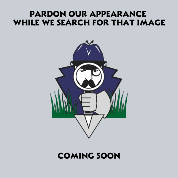 Fantasy Wandering Jew