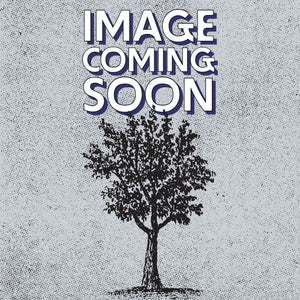 Willamette Elegance Hinoki Cypress - Cypress - Conifers