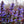 Load image into Gallery viewer, Chocolate Chip Bugleweed