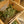 Load image into Gallery viewer, Air Plant