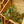 Load image into Gallery viewer, Air Plant