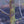 Load image into Gallery viewer, American Hophornbeam