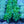 Load image into Gallery viewer, Amethyst Dream Mountain Bluet