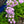 Load image into Gallery viewer, Amethyst Pearl Garden Phlox