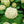 Load image into Gallery viewer, Annabelle Smooth Hydrangea