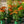 Load image into Gallery viewer, Artisan Soft Orange Coneflower