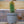 Load image into Gallery viewer, Cactus
