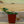 Load image into Gallery viewer, Assorted Herbs
