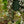 Load image into Gallery viewer, Assorted Strings Hanging Basket