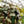 Load image into Gallery viewer, Assorted Strings Hanging Basket
