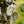 Load image into Gallery viewer, Assorted Strings Hanging Basket