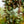 Load image into Gallery viewer, Assorted Strings Hanging Basket