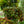 Load image into Gallery viewer, Assorted Strings Hanging Basket