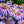 Load image into Gallery viewer, Aster