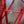 Load image into Gallery viewer, Bailey's Red-Twig Dogwood - Other Shrubs - Shrubs