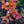 Load image into Gallery viewer, Beach Plum