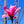 Load image into Gallery viewer, Betty Magnolia