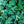 Load image into Gallery viewer, Big Blue Sea Holly