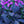 Load image into Gallery viewer, Black Pearls Pepper