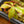 Load image into Gallery viewer, Assorted Carnivorous Plants