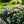 Load image into Gallery viewer, Endless Summer BloomStruck Hydrangea