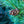 Load image into Gallery viewer, Blue Lou Japanese White Pine
