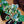 Load image into Gallery viewer, Bonsai Starter - Other Houseplants - Houseplants