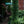 Load image into Gallery viewer, Boston Ivy
