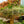 Load image into Gallery viewer, Bridal Veil