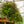 Load image into Gallery viewer, Bridal Veil