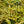 Load image into Gallery viewer, Brilliance Autumn Fern