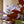 Load image into Gallery viewer, Burgundy Spice Sweetshrub - Other Shrubs - Shrubs