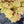 Load image into Gallery viewer, Caramel Coral Bells