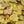 Load image into Gallery viewer, Caramel Coral Bells