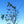 Load image into Gallery viewer, Carolina Silverbell