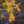 Load image into Gallery viewer, Cascadia Maple