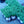 Load image into Gallery viewer, Cat's Meow Catmint