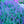 Load image into Gallery viewer, Cat's Pajamas Catmint