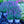 Load image into Gallery viewer, Cat's Pajamas Catmint