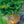 Load image into Gallery viewer, Chirimen Hinoki Cypress