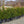 Load image into Gallery viewer, Christmas Jewel Holly