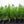 Load image into Gallery viewer, City Slicker River Birch