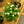 Load image into Gallery viewer, Crown of Thorns