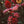 Load image into Gallery viewer, Dahlia