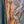 Load image into Gallery viewer, Dawn Redwood - Redwood - Conifers