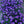 Load image into Gallery viewer, Aster