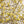 Load image into Gallery viewer, Elizabeth Magnolia - Magnolia - Flowering Trees
