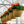 Load image into Gallery viewer, Elatior Begonia - Begonias - Houseplants