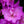 Load image into Gallery viewer, Elsie Lee Azalea - Azalea - Shrubs