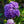 Load image into Gallery viewer, Endless Summer Bigleaf Hydrangea